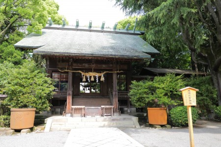 Paseo por la historia y la cultura del castillo de Odawara