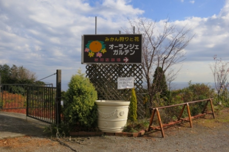 小田原的新鲜味道：橘子和海鲜 image