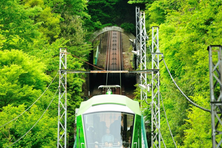 從纜車上欣賞伊勢原；探索該市的聖地 image