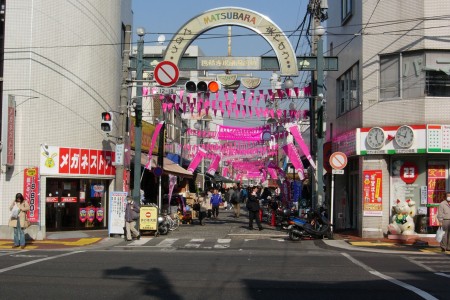 Recorrido a pie por las galerías comerciales de Yokohama image
