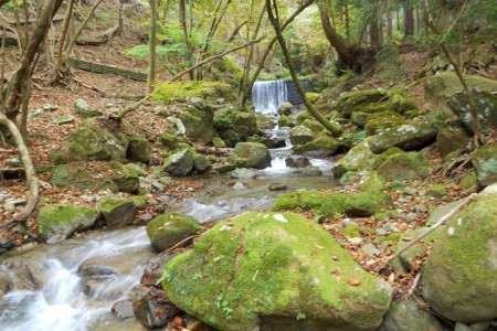 Ein Tag in der Natur und heiße Quellen in Atsugi
 image