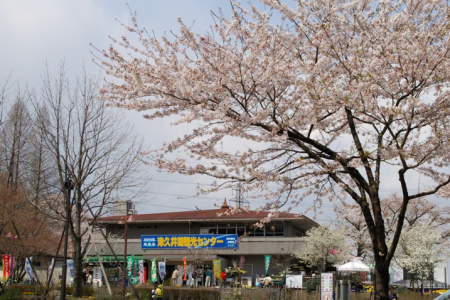 Jomon Period Tour in Sagamihara image