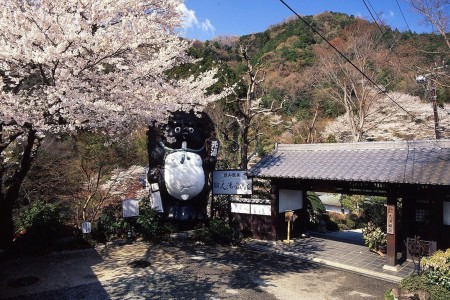 Iiyama Onsen: Treffen Sie eine Geisha image