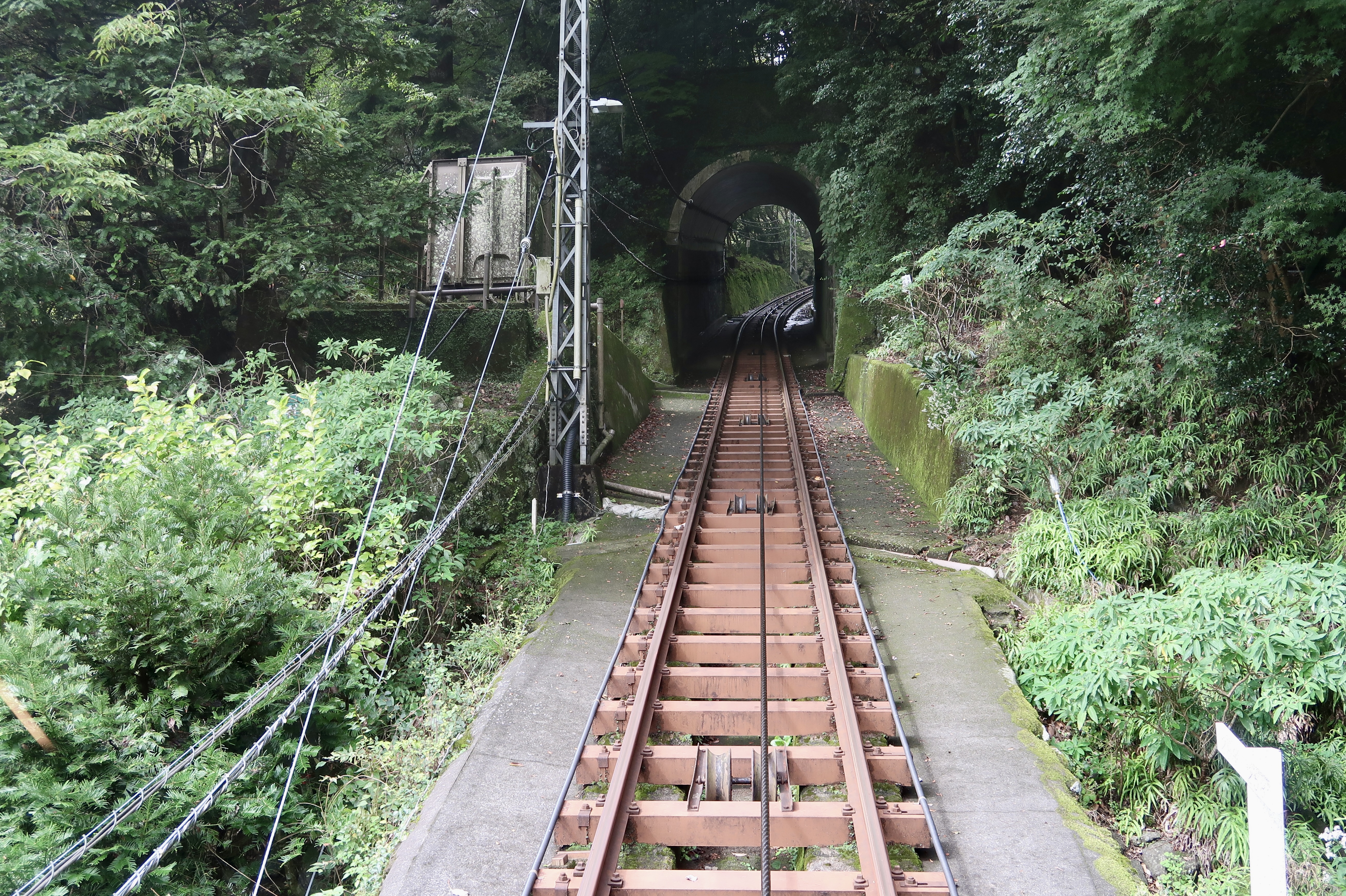 大山ケーブルカー前席からの眺め