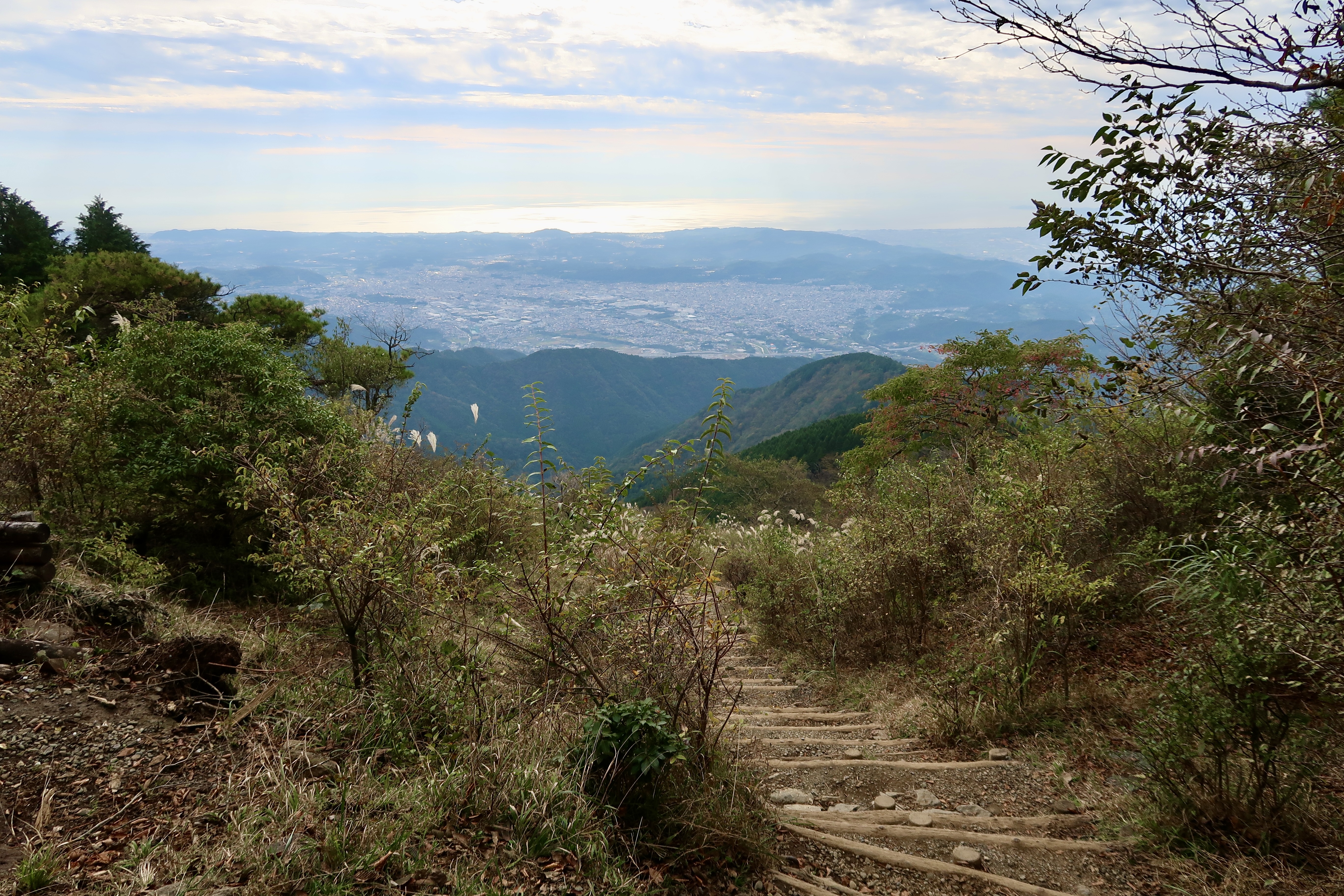 Erhabene Ausblicke auf eine Stadtlandschaft und die Sagami-Bucht