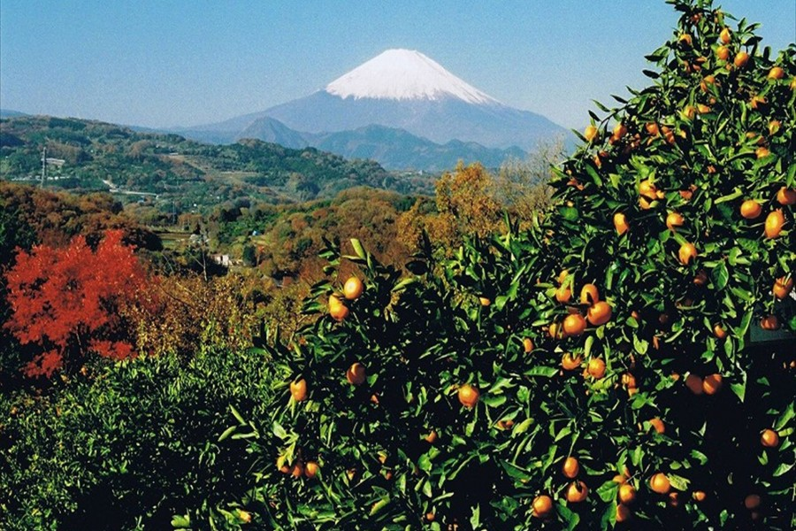 二宫町