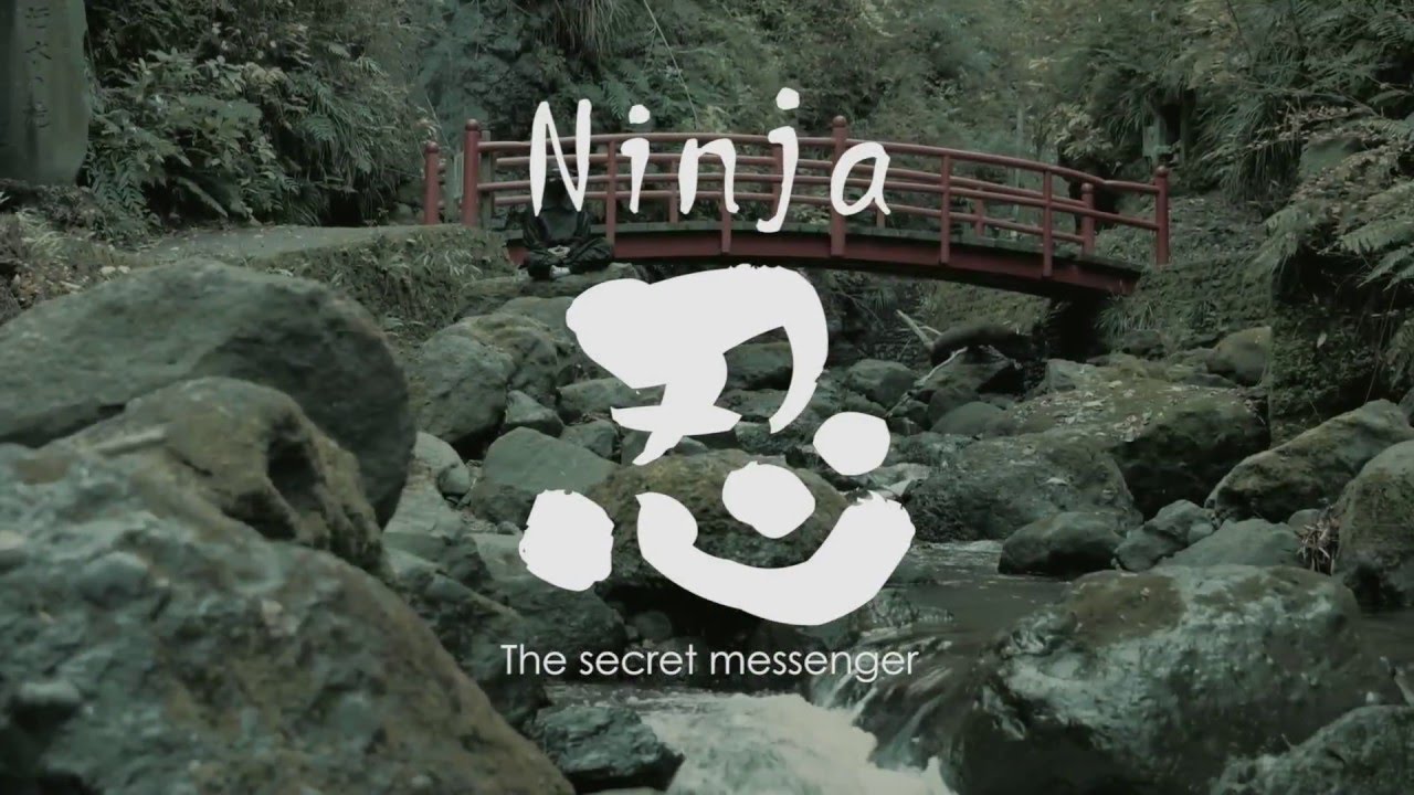 Les Ninjas