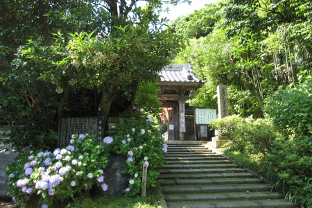 在逗子度過愉快的夏天：神社、海灘和全景美景 image