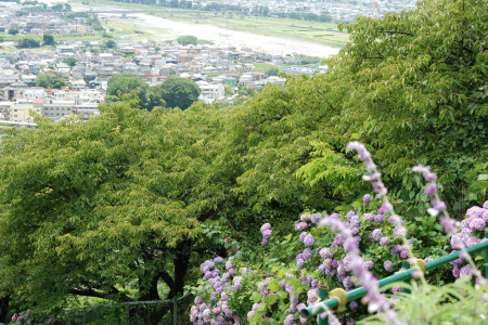 西平畑公园