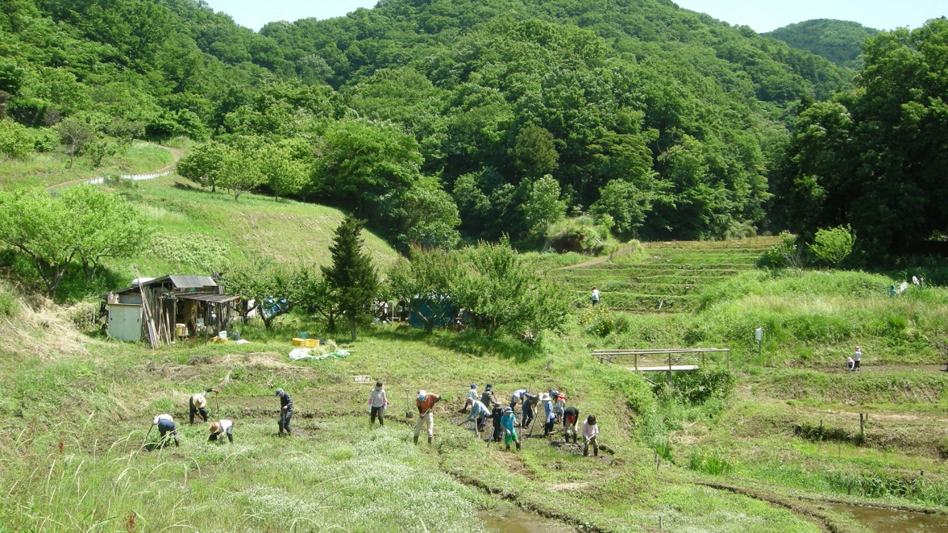 Naganuki no Tanada