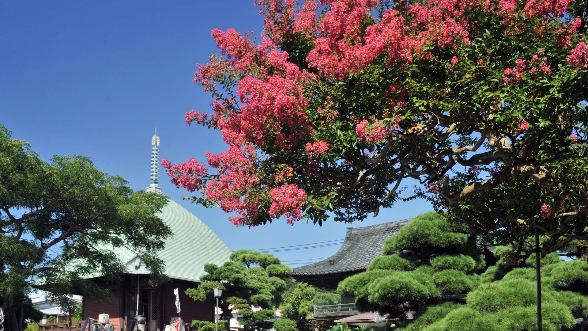 本覺寺