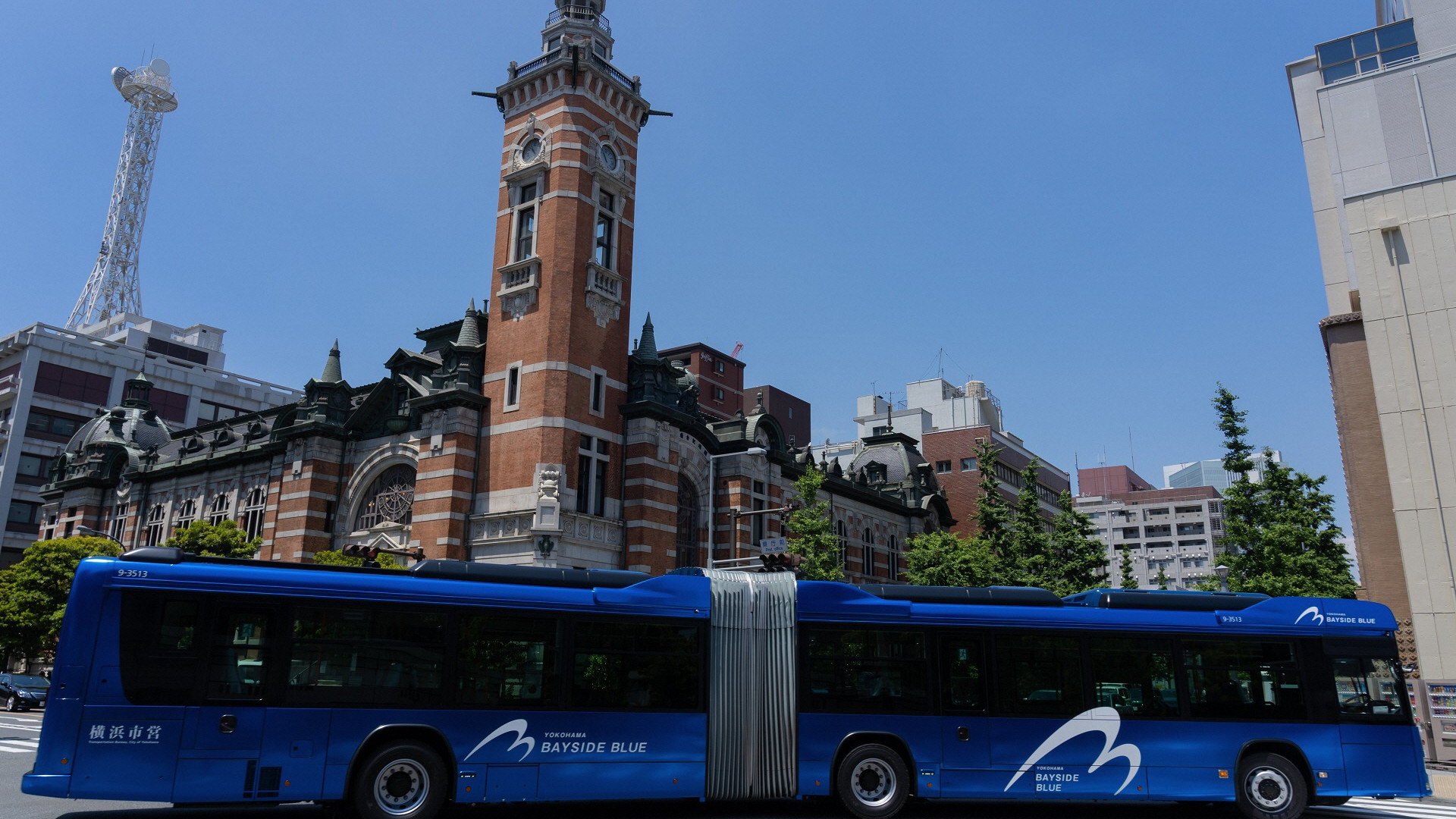 Bayside Blue Bus