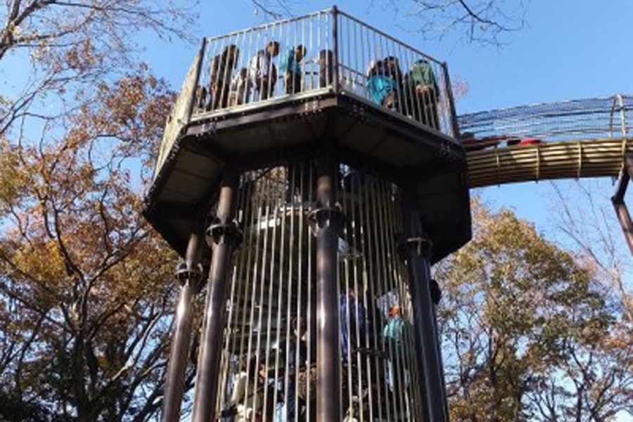 Eine Reise durch Natur und Wissenschaft in Atsugi