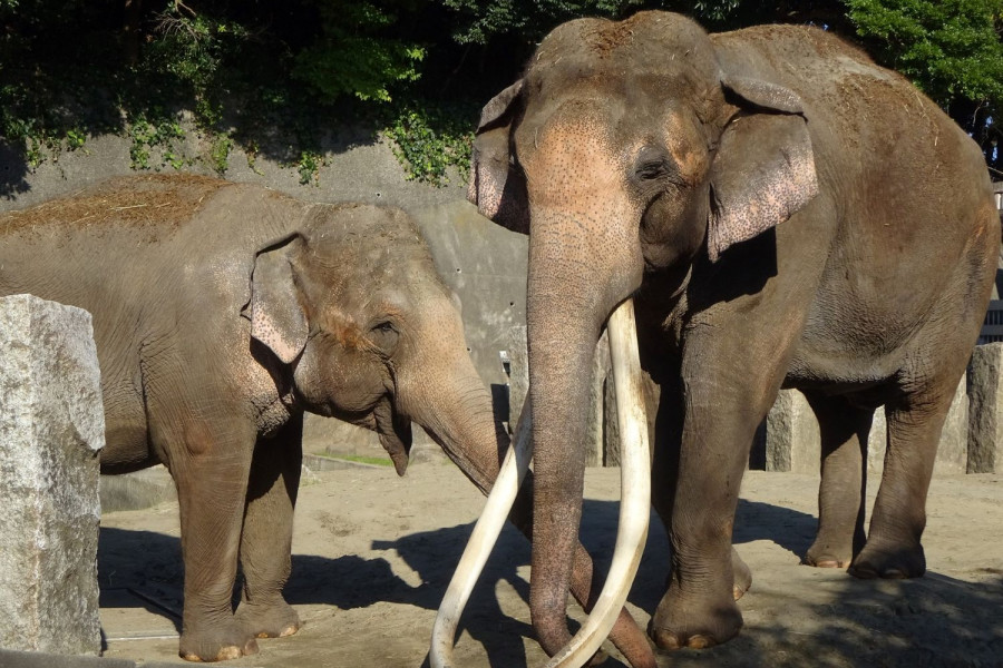 横浜市立金沢動物園