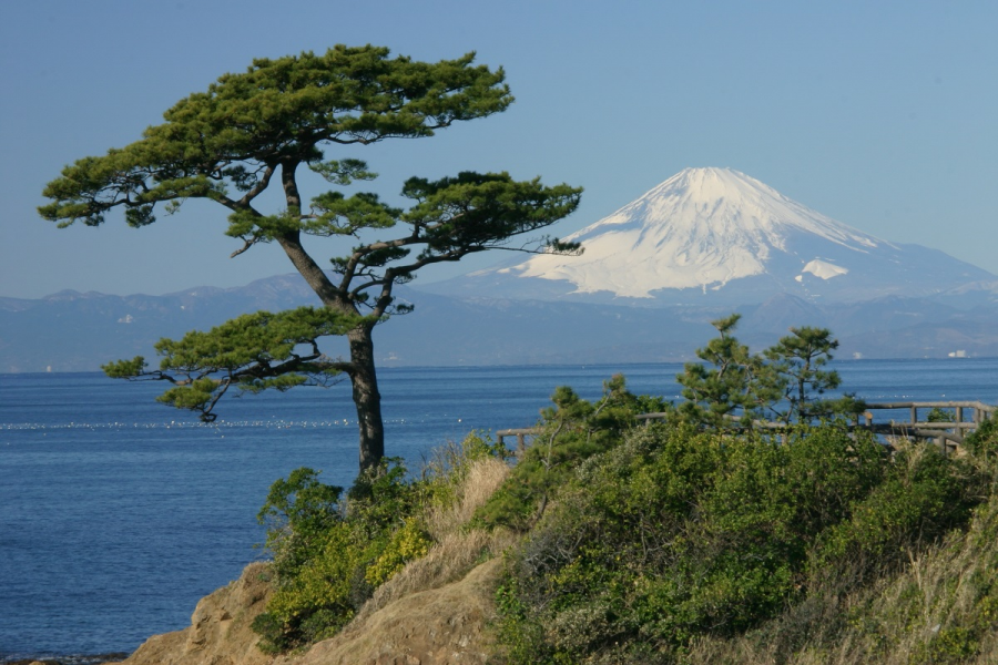 Parc Tateishi
