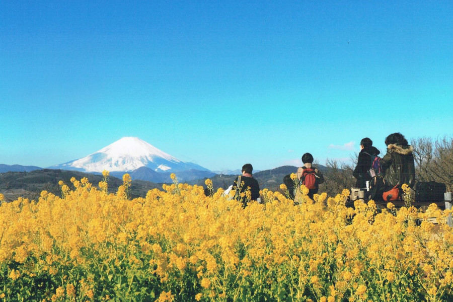 Ninoya (in Ninomiya Town Tourist Association, local products and souvenir store)